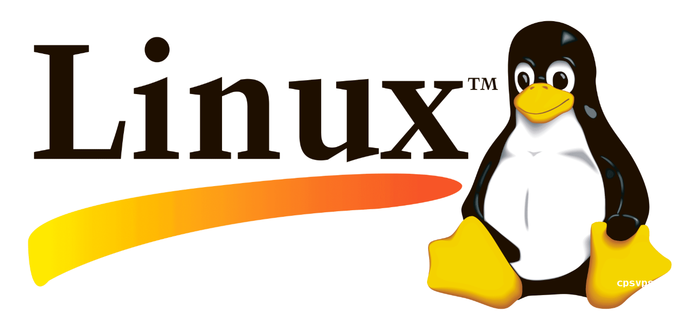 Ubuntu与CentOS海外VPS对比:文件系统内核怎么选